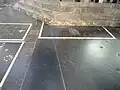 Cinq minutes après.