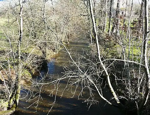 La Queue d'Âne, une cinquantaine de mètres avant sa confluence avec la Côle.