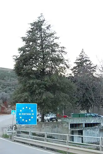 Quintanilha