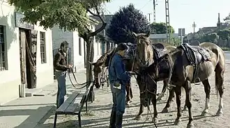 Páhi