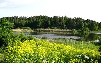 Råcksta träsk.