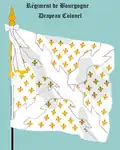 drapeau colonel de 1668 à 1791