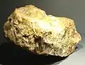 Or natif dans quartz trouvé dans la région d'Hennebont ; morceau d'un filon qui contenait 1&nbsp;077&nbsp;kg d'or (Galerie de Minéralogie et de Géologie du Muséum national d'histoire naturelle, Paris).