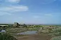 Photo de la baie de l'Aiguillon avec des zones de sansoires (salicorne), un petit bassin empli d'eau et une construction ancienne en béton ressemblant à un bunker.