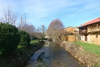 Brazuelo