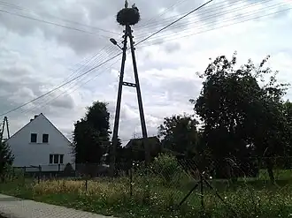 Rąpice