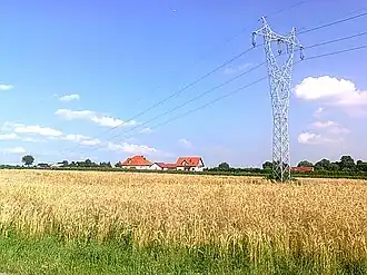 Radawiec Mały