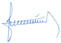 Signature de Radek Vondráček