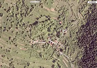 Radigojna
