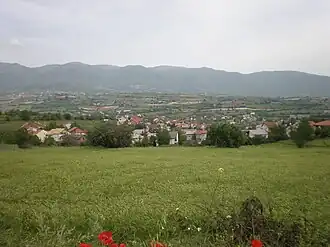 Radišani