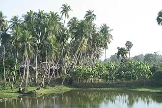 Raghurajpur (Odisha), dans le district de Puri, est un célèbre village d'artisans et de danseurs.