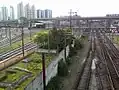 Rails de la gare du Brás.