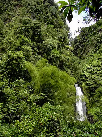 Relief au sud du Morne Macaque ou Micotrin.