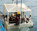 Plongée de reconnaissance sur le Royal Oak en 2009, afin de mener une opération de purge de son carburant.