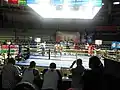 Vue du ring