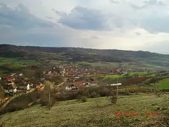 Rajno Polje
