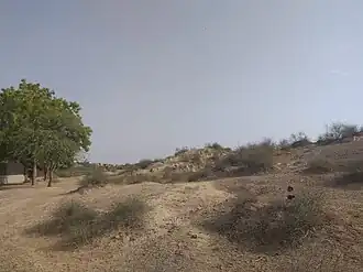 Rakhigarhi