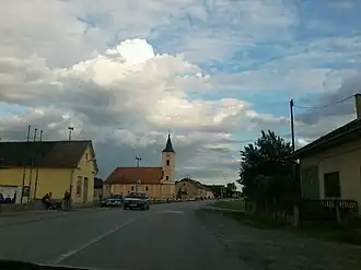Rakitovica