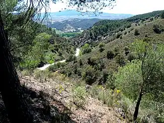 Murero