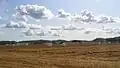 Agriculture
