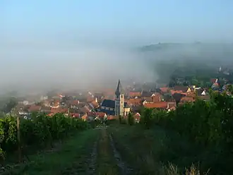 Randersacker
