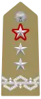 Insigne pour général de division ayant des fonctions supérieures