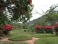 Parc public