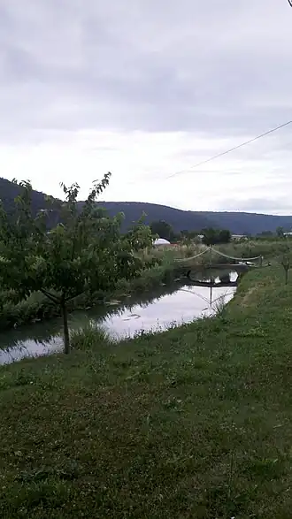 Most-Raša