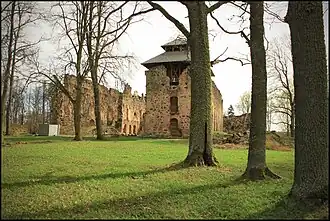 Ruines du château de Rauna.