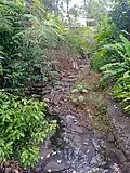 La ravine Bourrique.