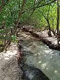Ravine de l'anse Colas.