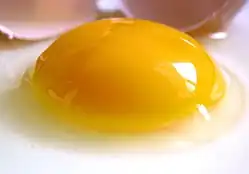 Photographie rapprochée d'un œuf de poule cru cassé et de sa coquille en arrière-plan.