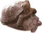 Description de l'image Recutils.png.