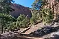 Red Mountain Trail