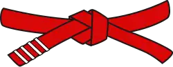 Ceinture rouge de maître 8e dang