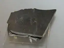 Tesson de ustensile de vaissellerie en céramique de type bucchero nero datant du 1er&nbsp;quart du VIe&nbsp;siècle&nbsp;av. J.-C. L'artéfact de terre cuite porte le graphe écrit en caractères étrusques :  (autrement dit, « Rex »),,,