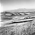 La campagne autour de Reihaniya au printemps 1956.