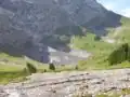 Un bras source du Reichenbach jaillit d’un petit glacier au pied du Wetterhorn .