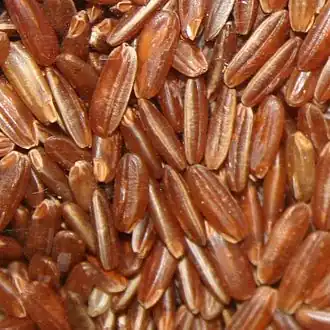 Le même riz décortiqué (riz complet), dont la couleur varie en fonction des variétés.