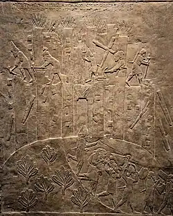 Le pillage et la destruction de Hamanu.