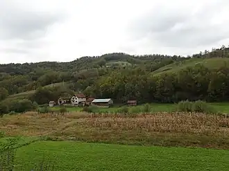 Reljinci