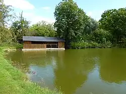 Étang.