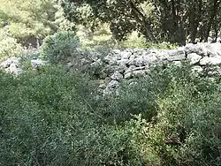 Vestiges du rempart de l'oppidum de Castillon.