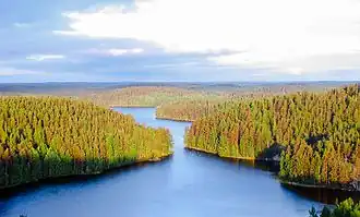 Parc national de Repovesi.