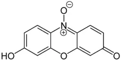 Image illustrative de l’article Résazurine