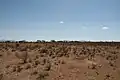 Paysage de la réserve nationale de Samburu