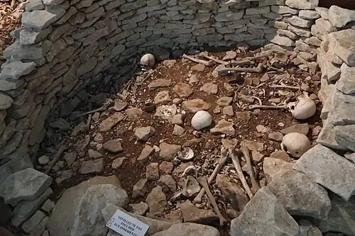 Crâne ayant été trois fois trépané, couloir du tumulus A, niveau supérieur, IVe millénaire.