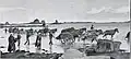 Retour de la coupe du goémon vers 1910 (photographie non localisée, probablement côte nord du Finistère).