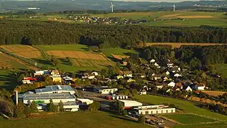 Mammelzen