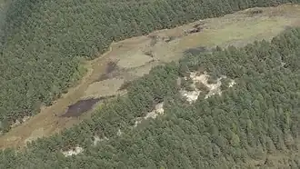 Piskorzeniec